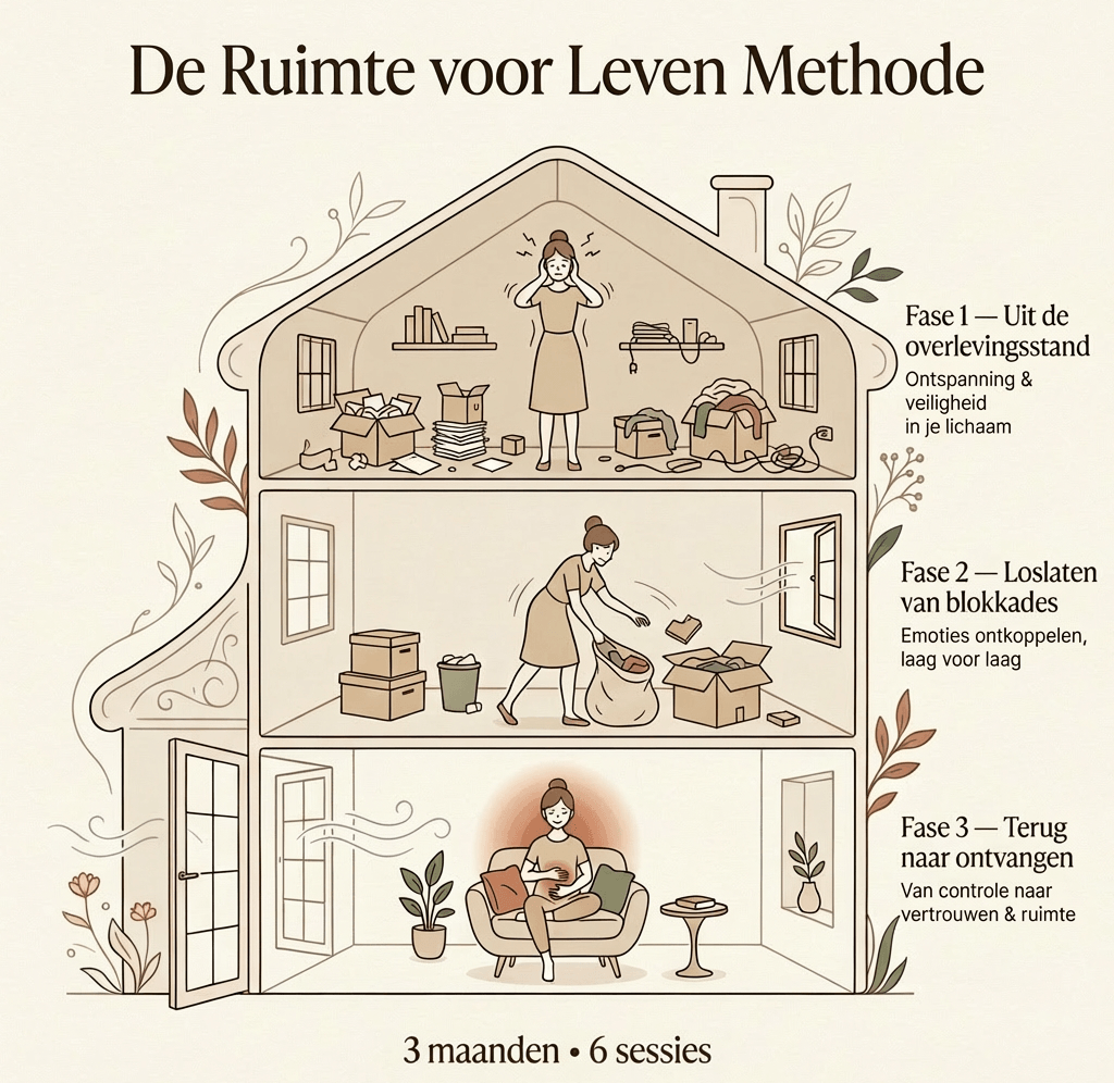 Illustratie van de Ruimte Voor Leven Methode™ van Inge Gesthuizen voor vrouwen met een onvervulde kinderwens Illustratie van de Ruimte Voor Leven Methode™ van Inge Gesthuizen voor vrouwen met een onvervulde kinderwens